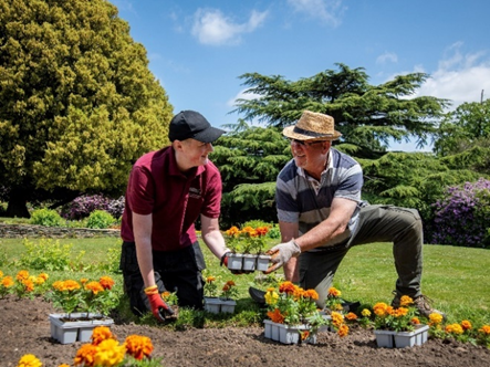 younger and older volunteer planting flowers at Cannon Hall gardens.